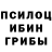 Псилоцибиновые грибы Magic Shrooms Carl Ball