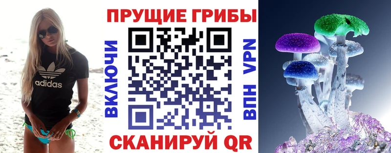 Псилоцибиновые грибы Cubensis  Магадан 