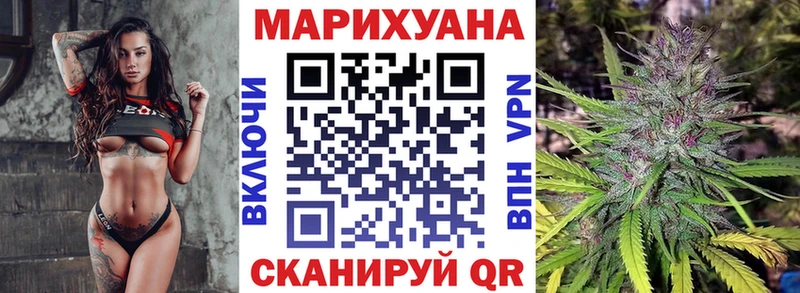 блэк спрут зеркало  Магадан  Бошки марихуана сатива 